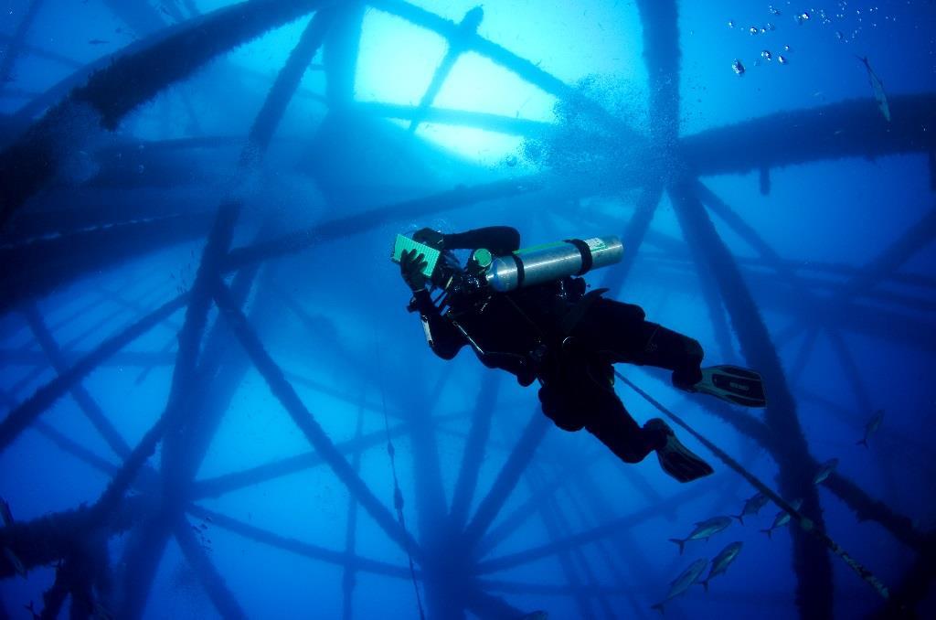 SCUBA Roving Diver Surveys SCUBA = 5 minute roving diver surveys on the top of the structure; categorical data