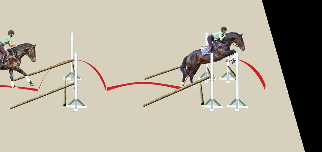 JUMPING SERIES In theory, the horse s body should form a perfect half circle over the jump - bascule. The highest point of the horse s arc should be over the highest point of the jump.