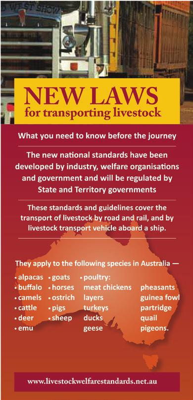 Animal welfare legislation in Australia Each state and territory has regulated animal welfare standards requiring the responsible care and management of bobby calves, including for transportation.