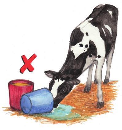 The Milk SA guide to dairy farming in South Africa C. Weaning a calf When you decide to wean your calf, it is important that you plan the weaning.