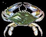 Mollusks, Crustaceans Crustaceans American Lobster The legal possession size of whole lobsters, measured from the rear of the eye socket along a line parallel to the center line of the body shell to