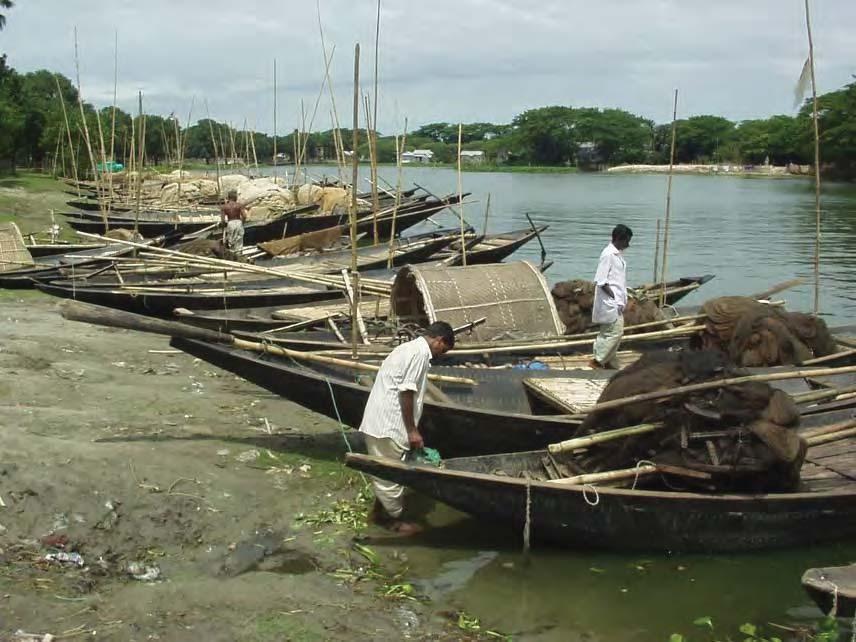 strong local demand, it has also been noted in recent research conducted in marine areas in Noakhali and Barisal that the Hilsa/Jatka fishery gave the highest average daily income of Tk. 196/- and Tk.
