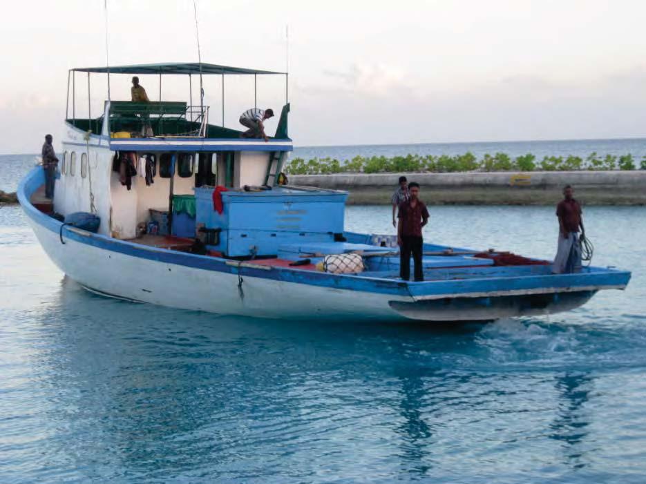 Assessments of the Indian mackerel (Rastrelliger kanagurta) and the Hilsa shad (Tenualosa ilisha) fisheries