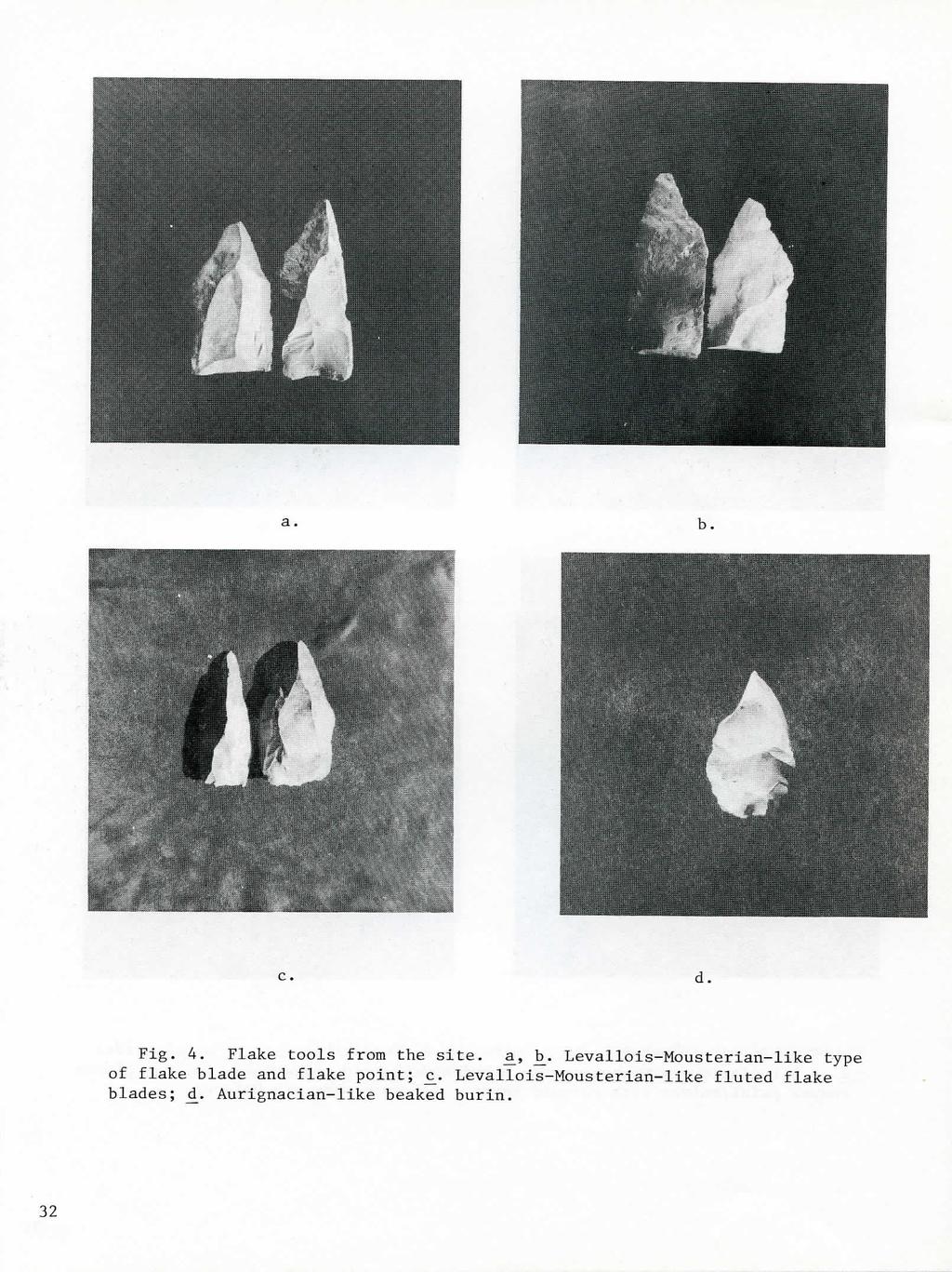 c. d. Fig. 4. Flake tools from the site. a., b_.