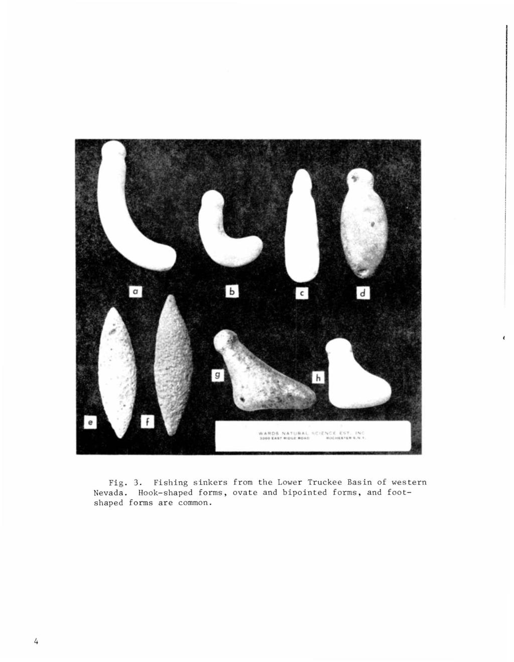 Fig. 3. Fishing sinkers from the Lower Truckee Basin of western Nevada.