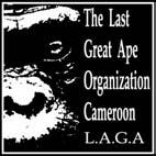 The Last Great Ape Organization - LAGA April 2008 Report Highlights A principal International Ivory Dealer arrested in an unprecedented operation in The Republic of Congo while replicating the LAGA