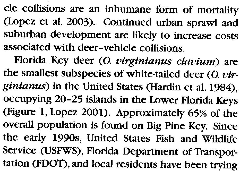 For the endangered Florida Key deer (Odocoifeus virginian us cfavium),. nearly 50% of mortality is attributed to deer-vehicte collisions.