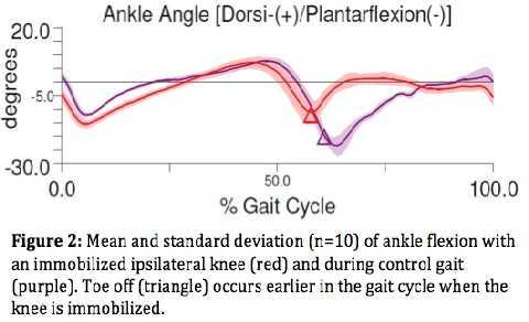 dorsiflexion (Figure 2). Onset of hip flexion velocity was delayed, and there was no extension velocity peak prior to ipsilateral heel strike.