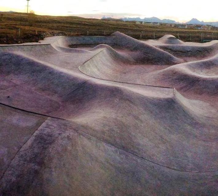 Any transition or more typical skatepark features should be disguised via aesthetic / skate sculpture.