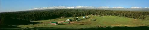 About Ski Destination: GULMARG (India) Gulmarg is a hill station town and known as India s premier ski resort.