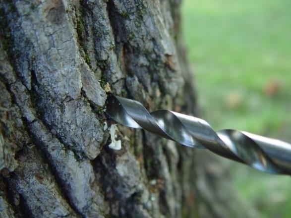 10 Drill Sites for Arborplugs Use sharp, high-helix brad-point drill bits (included in kit).