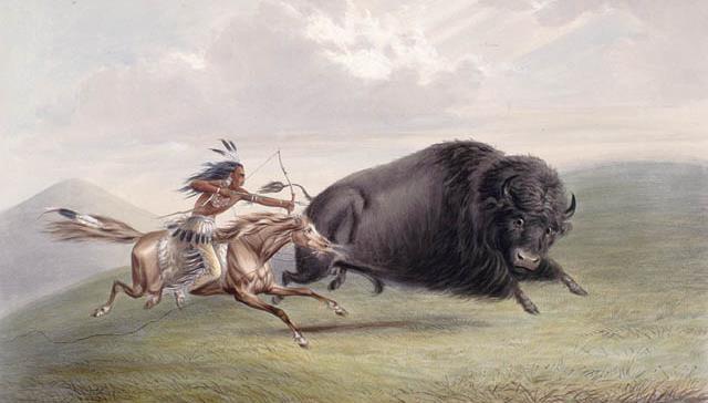 Plains Indian Bison Hunt Source: Library and