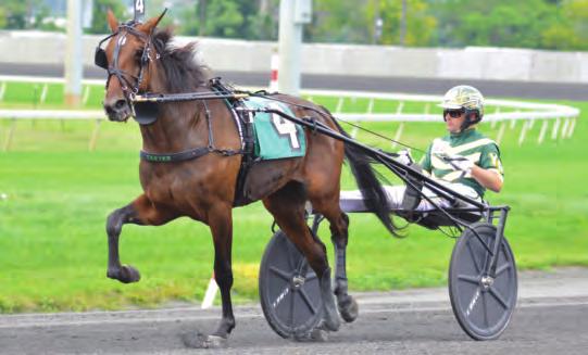 2-Year-Old Trotting Filly of the Year MANCHEGO Muscle Hill-Secret Magic-Cantab Hall Yearling Price: $120,000 at Lexington Selected Sale Breeder~Brittany Farms Owners~Black Horse Racing, John