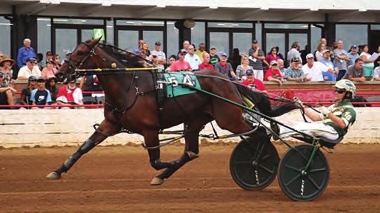 2-Year-Old Pacing Filly of the Year YOUAREMYCANDYGIRL American Ideal-Sweet Lady Jane-Somebeachsomewhere Yearling Price: $150,000 at Standardbred Horse Sale at Harrisburg Breeder~Birnam Wood Farms