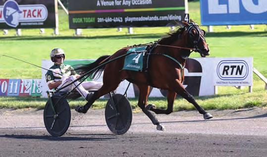 3-Year-Old Trotting Filly of the Year ARIANA G Muscle Hill-Cantab It All-Cantab Hall Yearling Price: Homebred Breeder & Owners~Marvin Katz & Al Libfeld Trainer~Jimmy Takter Driver~Yannick