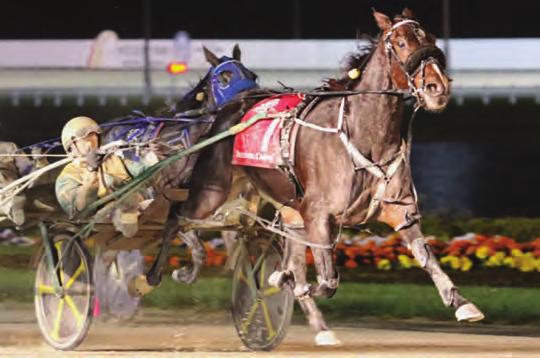 3-Year-Old Pacing Filly of the Year BLAZIN BRITCHES Rock N Roll Heaven-Soggy Britches-Allamerican Ingot Yearling Price: Homebred Breeder & Owner~Emerald Highlands Farm Trainer~Brian Brown