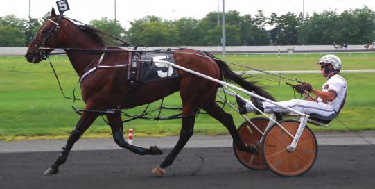 3-Year-Old Pacing Colt of the Year DOWNBYTHESEASIDE Somebeachsomewhere-Sprig Hanover-Allamerican Native Yearling Price: $65,000 at Lexington Selected Sale Breeders~Blue Chip Farms, Janet Seltzer,