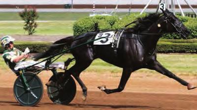 Trotting Mare of the Year HANNELORE HANOVER Swan For All-High Sobriety-Dream Vacation Yearling Price: $32,000 at Standardbred Horse Sale Breeder~Hanover Shoe Farms Owners~Burke Racing Stable, Weaver