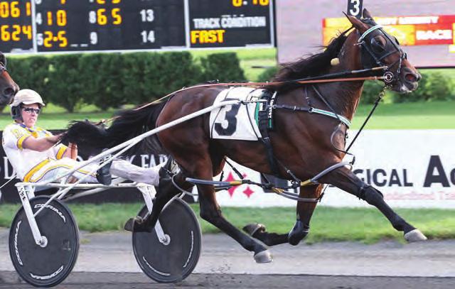 Pacing Mare of the Year PURE COUNTRY Somebeachsomewhere-Western Montana-Western Hanover Yearling Price: Homebred Breeder & Owner~Diamond Creek Racing Trainer~Jimmy Takter Driver~Mark
