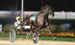 $948,178 The Dan Patch 3-Year-Old Trotting Colt Award Filibuster Hanover