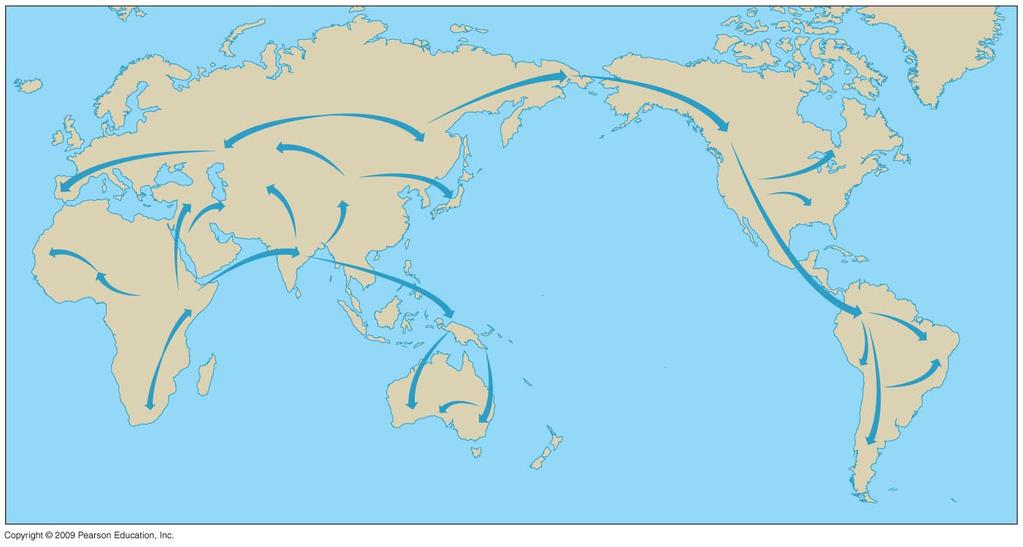 in Africa Africa Atlantic Ocean Europe 40,000 BP 100,000 BP Original discovery Neander Valley Africa Asia 50 60,000 BP >40,000 BP (50 60,000?