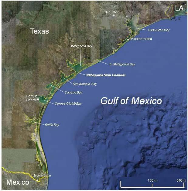 GenCade Application Matagorda, TX Estimated shoreline