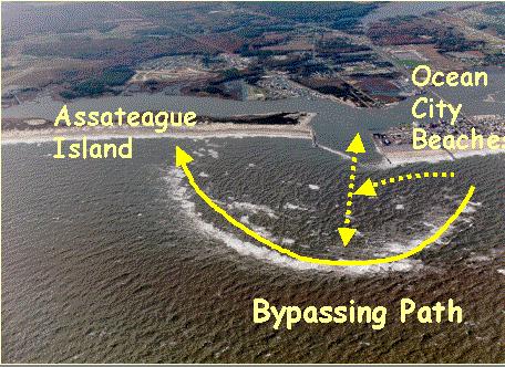 overwash, & breach susceptibility; coastal response to SLR Habitat evolution