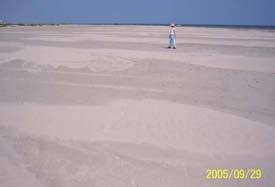Figure 24. Galveston Island near San Luis Pass. Looking updrift at sand waves formed by alongshore currents caused by oblique wave approach and flood tidal currents during Rita.