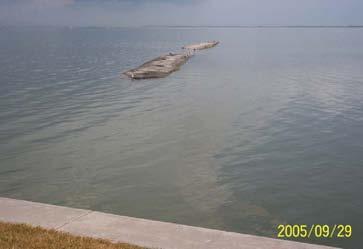 Damaged geotextile tube protecting marsh restoration project adjacent to Jamaica Beach (Galveston Island
