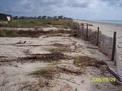 1998, respectively. This is consistent with an EA of only 3.3 for Rita. Figure 5 is a plot of preand post-storm beach profiles measured at the Galveston Island State Park.