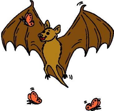 Supplement B- Bats and Moths : One blindfold Objective: To have each student participate as a bat and as a moth.