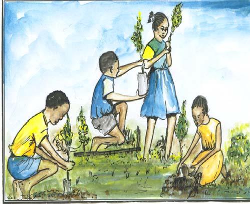 2. Encourage friends to plant more trees on the hill to protect the soil there.
