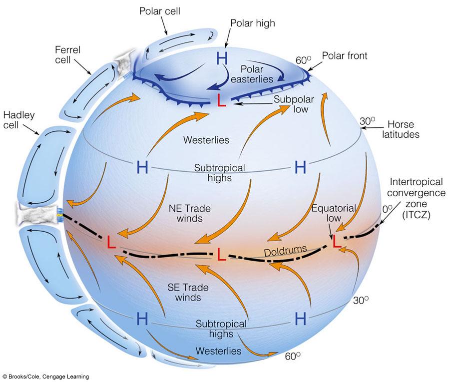Earth does not rotate Result: huge thermally direct convection cell (Hadley) 3 4 Three Cell Model Allow earth to spin = three cells (Hadley,