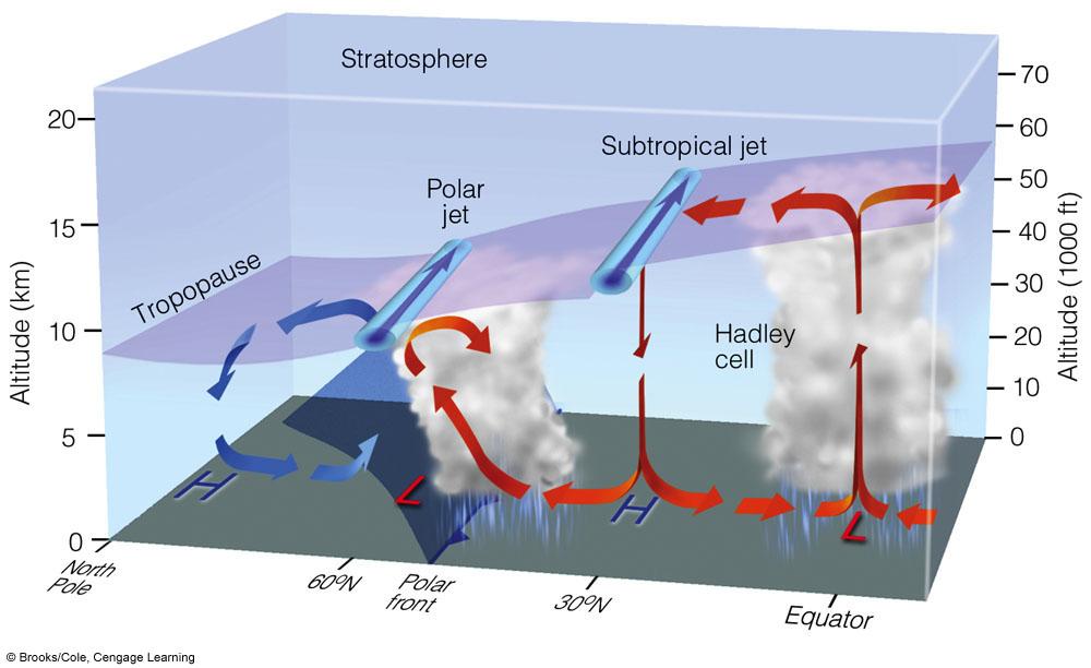 19 20 Jet Streams Polar and Subtropical Jet