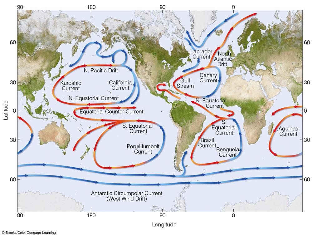 Global Winds and Surface Ocean Currents Ocean