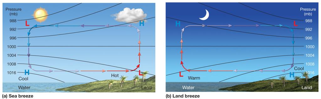Scales of Atmospheric Motion Structure of wind patterns: Global winds are a composite of