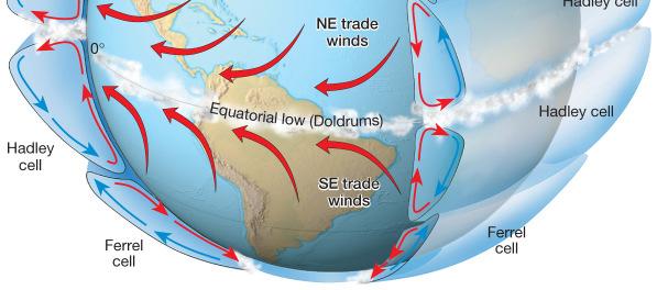 The westerly circulation of surface winds (prevailing westerlies) between 30 60 latitude is called the Ferrel cell.