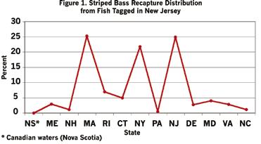 for all releases and recaptures. Since 1987, 473,942 striped bass were tagged and released coastwide with 84,964 recaptures reported to date.