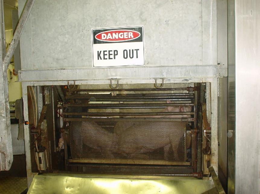 1930s Emergence of gas killing Pigs and