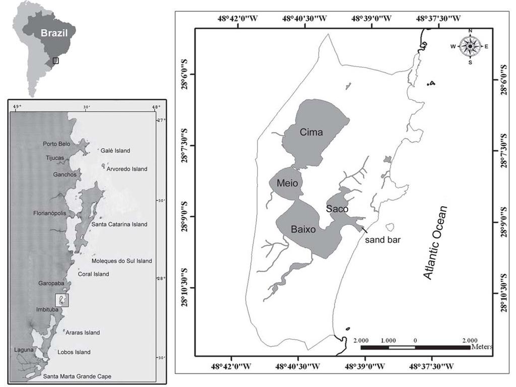 L. C. P. Macedo-Soares, A. B. Birolo & A. S. Freire 233 Fig. 1. The location of Ibiraquera Lagoon on the southern Brazilian coast with its four stations in detail (Saco, Baixo, Meio and Cima).