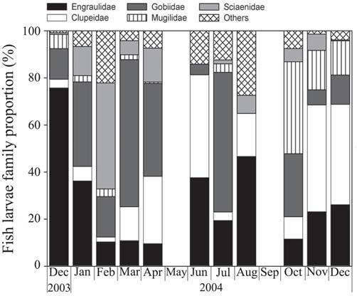 236 Spatial and temporal distribution of fish eggs and larvae Fig. 5. Larvae fish families composition in Ibiraquera Lagoon over 13 months, from December 2003 to December 2004.