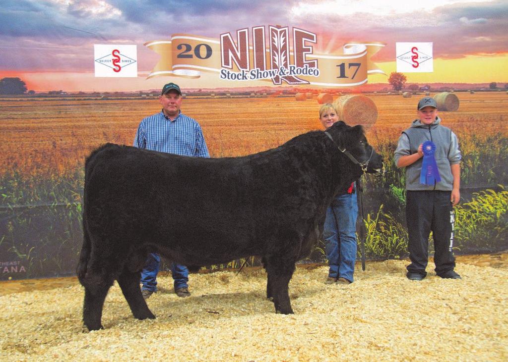 Galloway: When it absolutely has to be the BEST beef. 2017 NILE AOB Champion Yearling Bull, Willow Valley Denver. Owned and exhibited by Blegen Galloways, Roundup, MT Twenty.