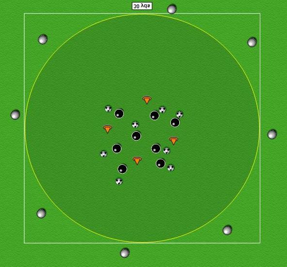 PLAN: 19 TOPIC: Dribbling 4 30 x 30 with circle in the middle. 16 players, 8 with a ball, 8 without.
