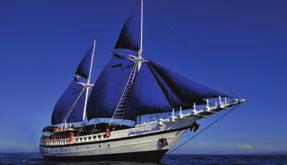 S/Y PHILIPPINE SIREN Guest Facilities Siren Fleet have been operating a liveaboard in the Philippines since 2009, however in 2013 we launched the new S/Y Philippine Siren.