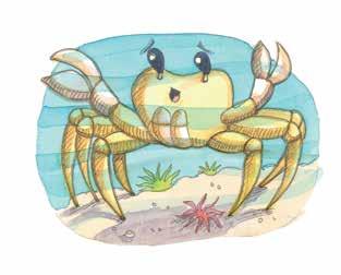 The Smart Little Crab Text type: Narrative Level: K (20) Word count: 725 Content vocabulary crab octopus sea snail sea star sea seawater seaweed shore tide tide pool Uncommon phonics great