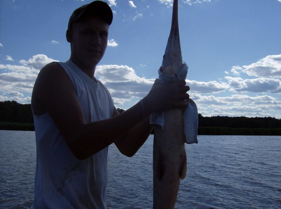 I got 6 club minimum releases of gar that day. Went with Don to the cell on Thursday, and he got a 5 lb 8 oz spadefish.