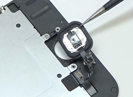 Step 19: Home Button Insert the home