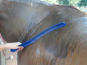 It is recommended to avoid riding a horse when the combined temperature and relative humidity surpass 150 (Table 1).