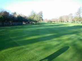 Similar activity was noted to a few parts of greens that received the same fertiliser 9:7:7 in late September. The growth and nitrogen applied was higher than desired.