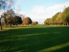 Photo Observations and Comments (continued) Figure 7: Quite shaded 16 th fairway.